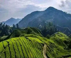 bor  mountain yem